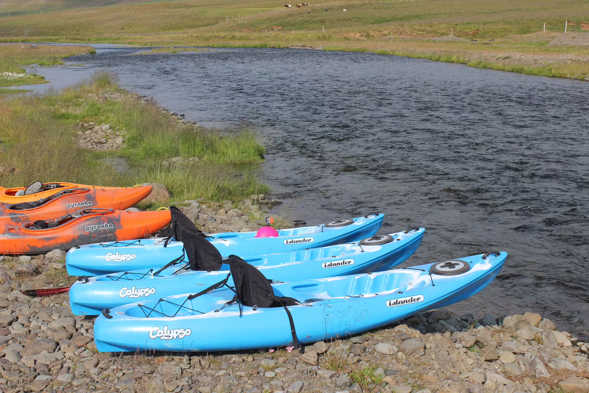 Blue and orange kayaks lined up on the rocky bank of Svartá River, ready for an exciting Icelandic kayaking adventure.