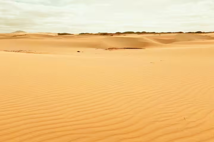 Expansive golden sand dunes under a clear sky on Boa Vista Island, perfect for desert exploration.