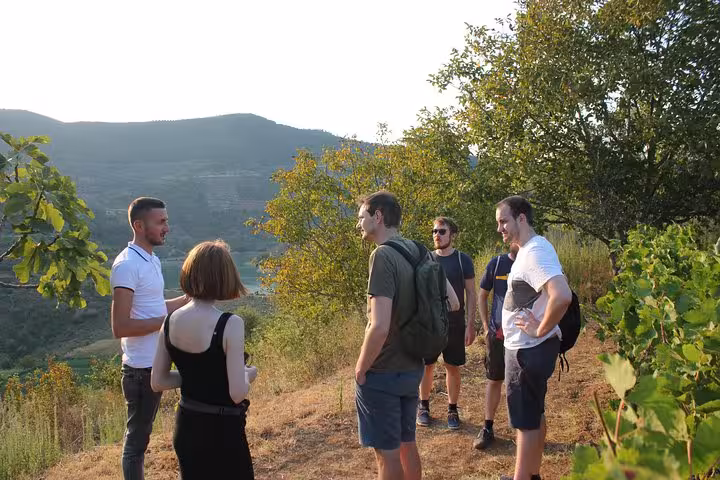 Tour group exploring scenic vineyard landscapes, a highlight of Bogove's Splendor waterfall adventure and wine tasting tour.