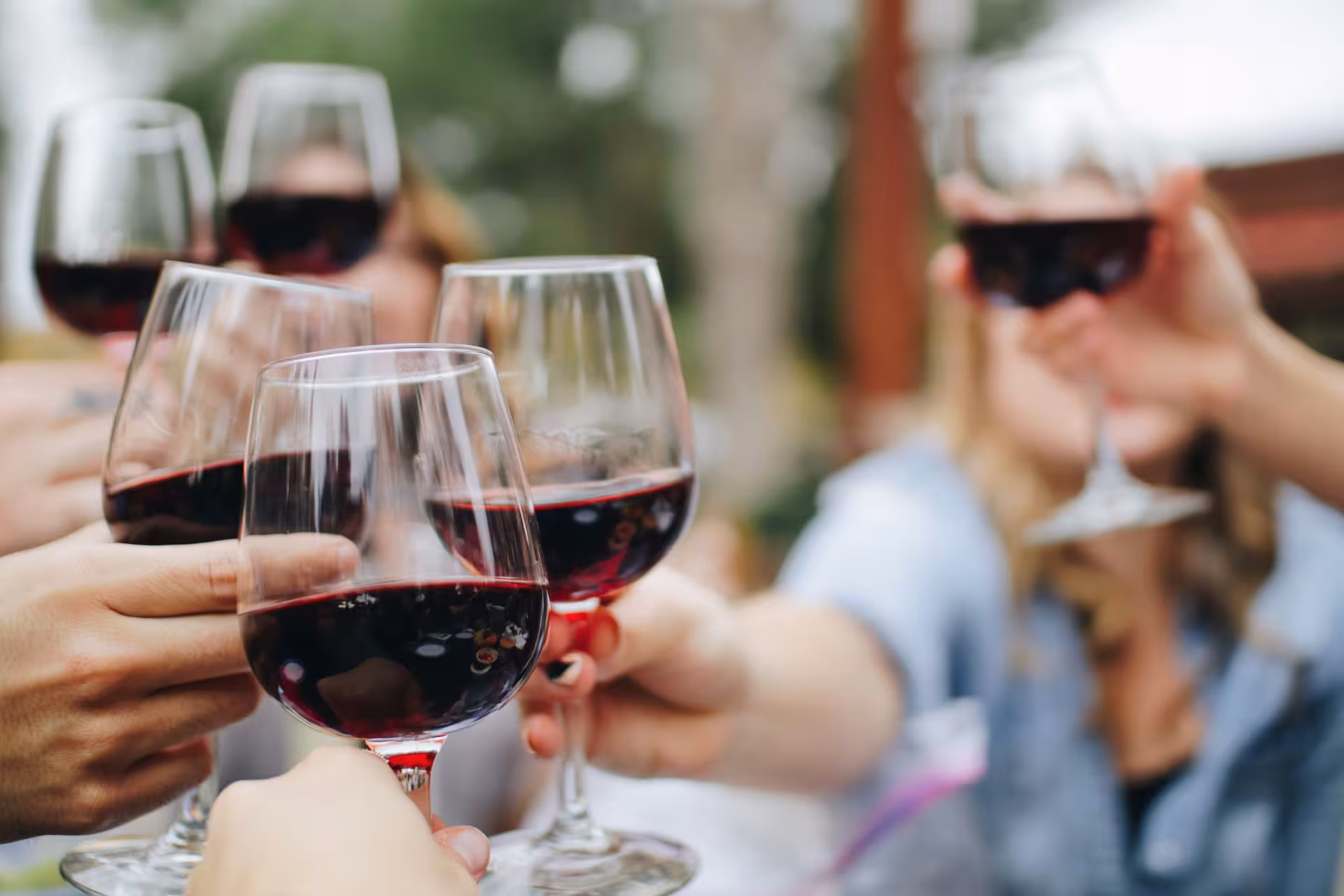 Group toasting with red wine glasses during a luxury Bolgheri wine tasting experience in Tuscany.