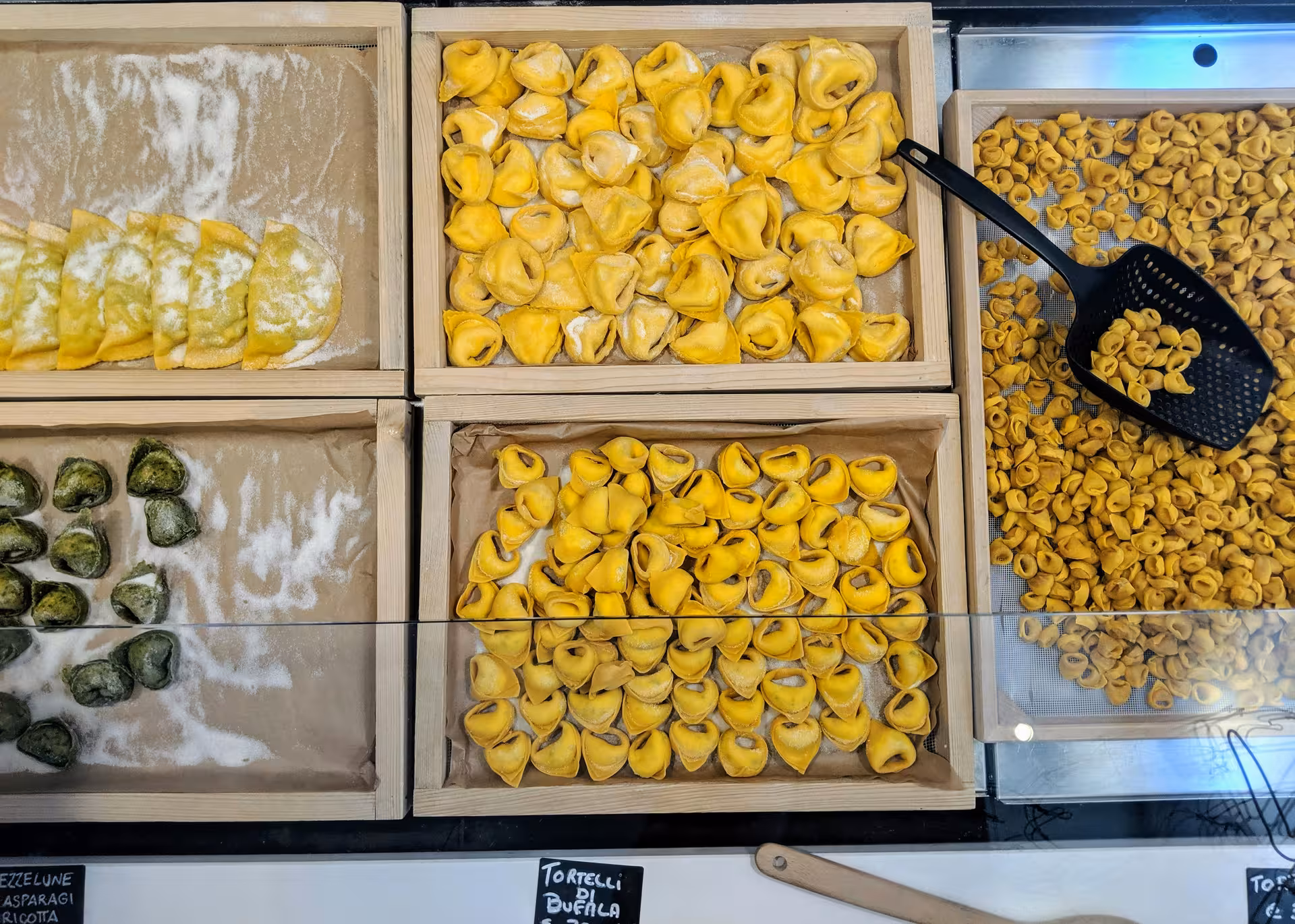 Assorted fresh tortellini and ravioli on display in Bologna, highlighting authentic Italian pasta craftsmanship.