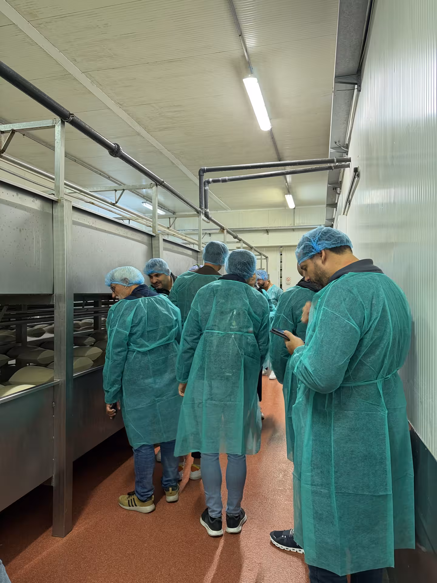 Visitors in protective clothing explore a Parmigiano cheese factory on a Bologna day trip, highlighting Italian culinary traditions.