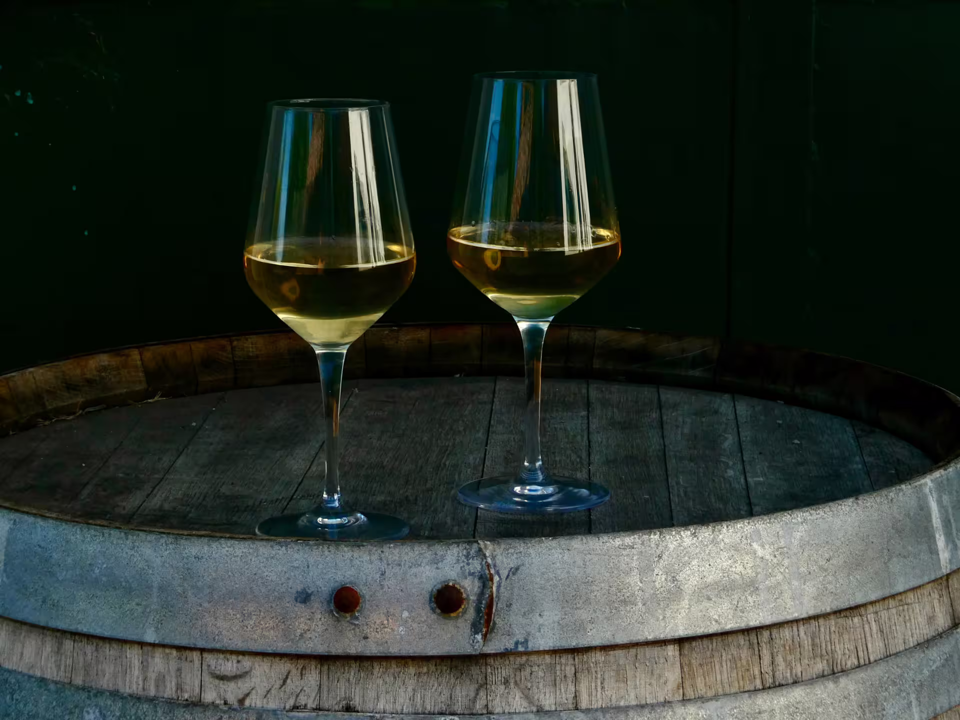 Two glasses of local white wine on an oak barrel, boutique Bologna winery tour tasting experience