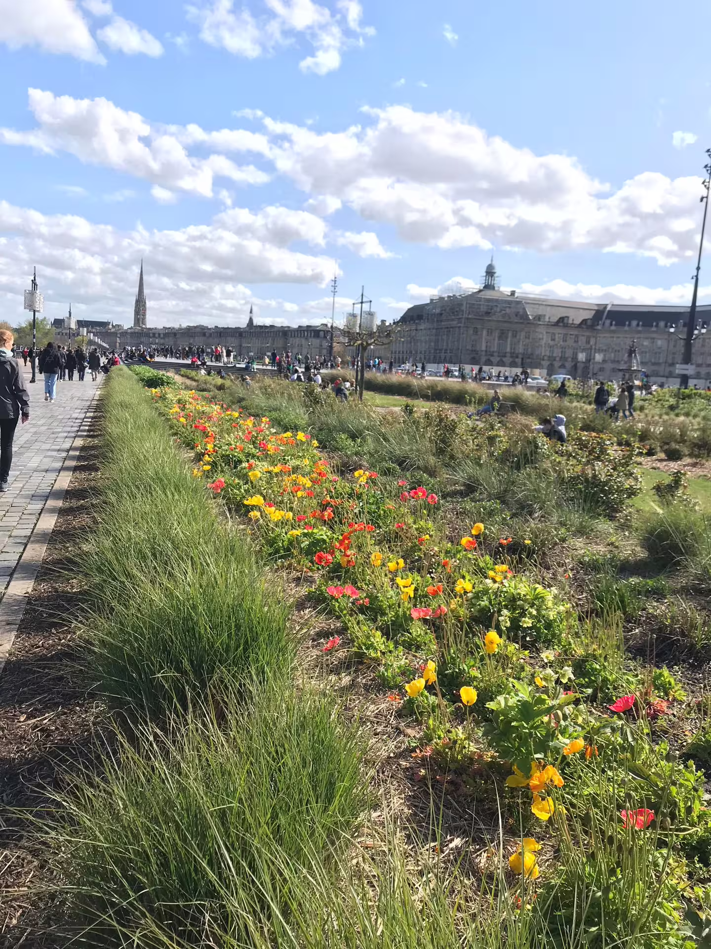 Spring flowers along Bordeaux riverfront promenade on a Best of Bordeaux walking tour with natural wine