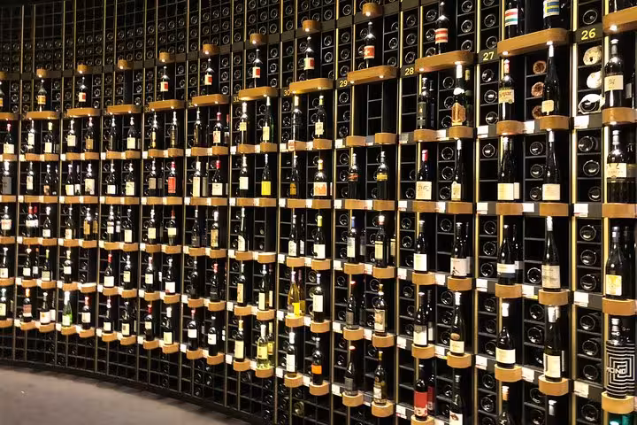 Extensive wine collection displayed on shelves, featured in a Bordeaux wine walking tour.