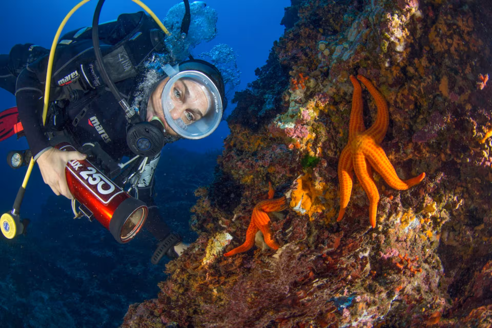 Scuba diver observes colorful starfish on rocky reef during Bosa's diving baptism experience.