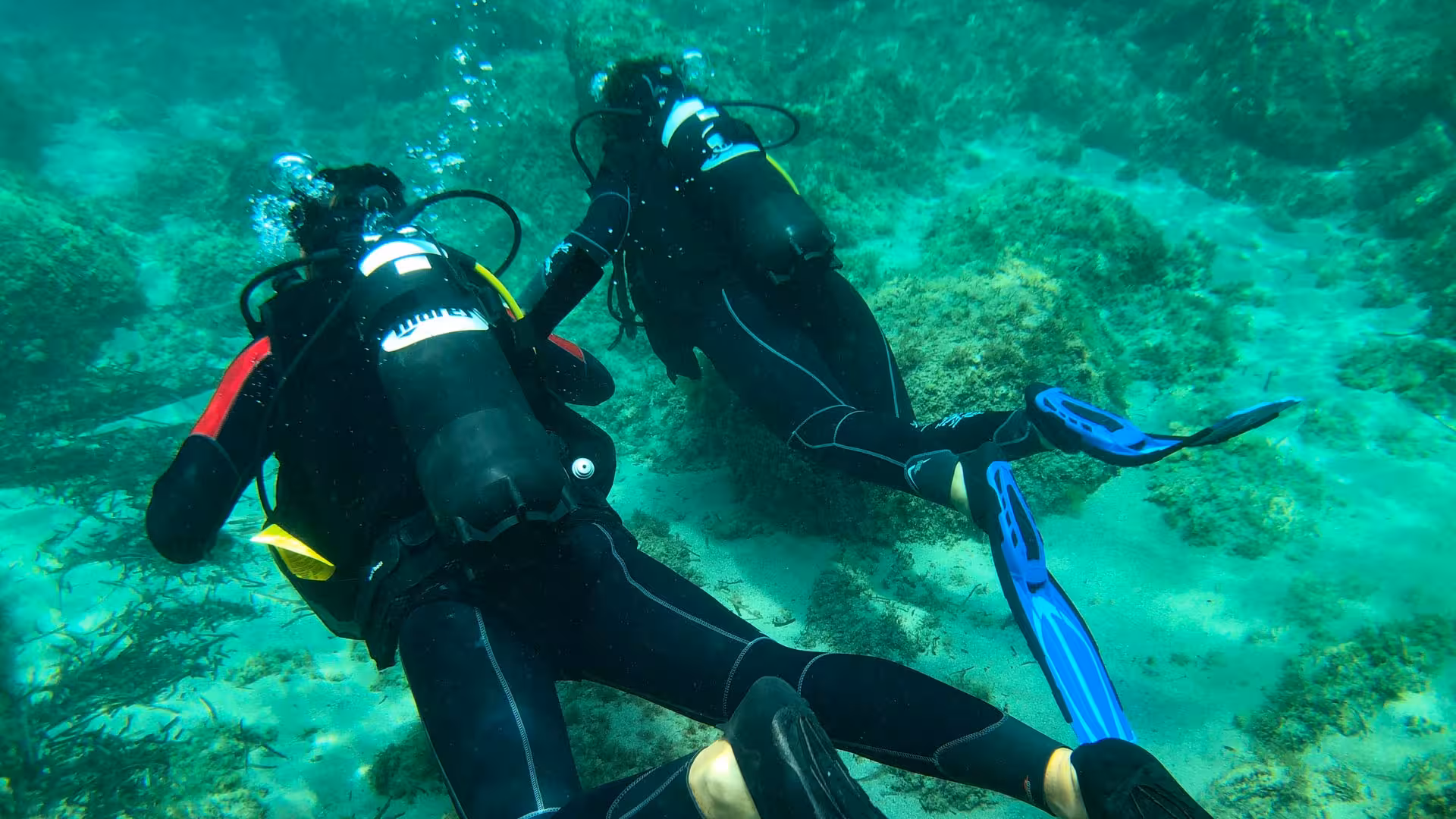 Two divers in wetsuits navigating the vibrant marine landscape of Bosa, offering an immersive diving baptism experience.