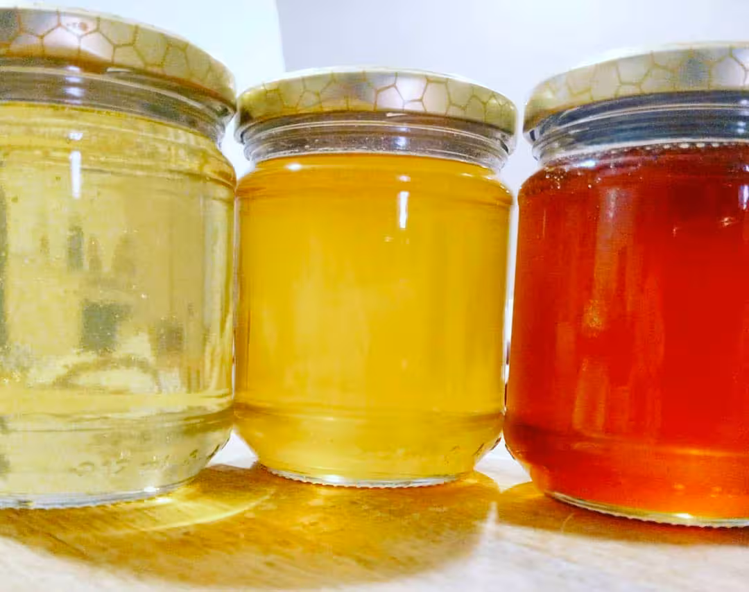 Three jars of golden honey in varying shades, highlighting the rich diversity of Bosa's beehive offerings.
