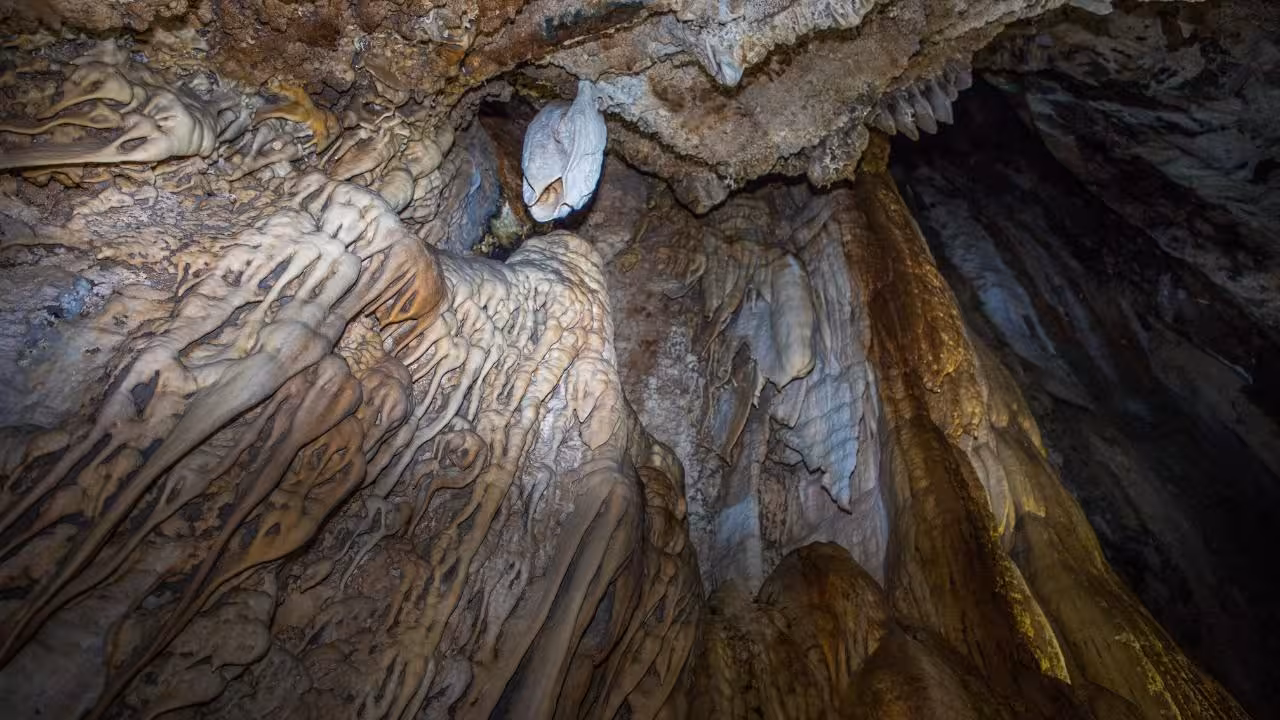 Marvel at the intricate stalactites and stalagmites in Capo Marrargiu's cave, a must-see for Bosa snorkeling adventures.