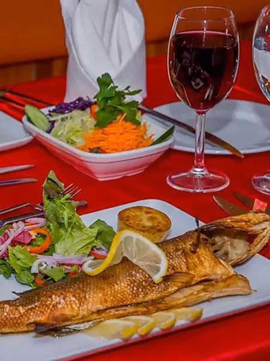 Grilled fish dinner with fresh salad and red wine served on a Bosphorus dinner cruise in Istanbul
