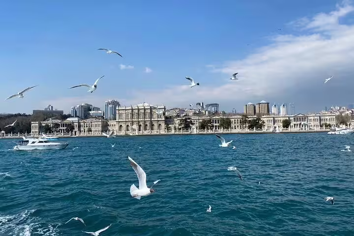 Bosphorus waterfront view with seagulls and palaces in Istanbul, part of a private guided 1.5 day highlights tour