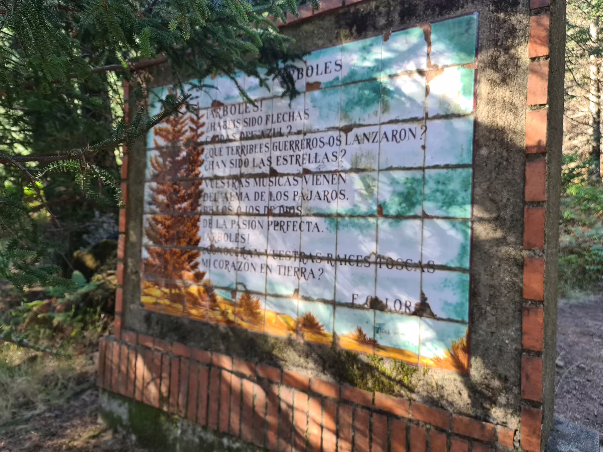 Close-up of a tiled information sign in the Bosque de Pinsapos, providing cultural insights during the hike.