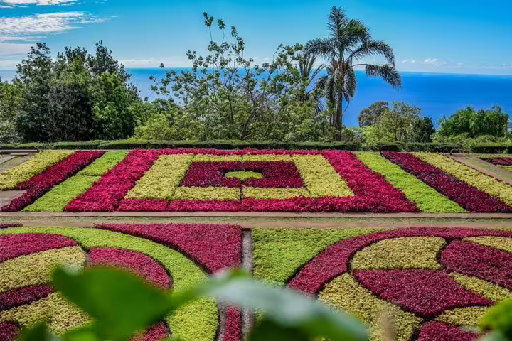 Close-up of intricate floral patterns in botanical garden with palm trees and ocean backdrop.
