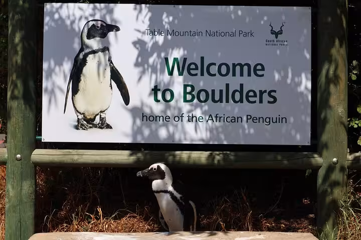 Sign at Boulders Beach welcoming visitors to the home of the African Penguin in Table Mountain National Park.