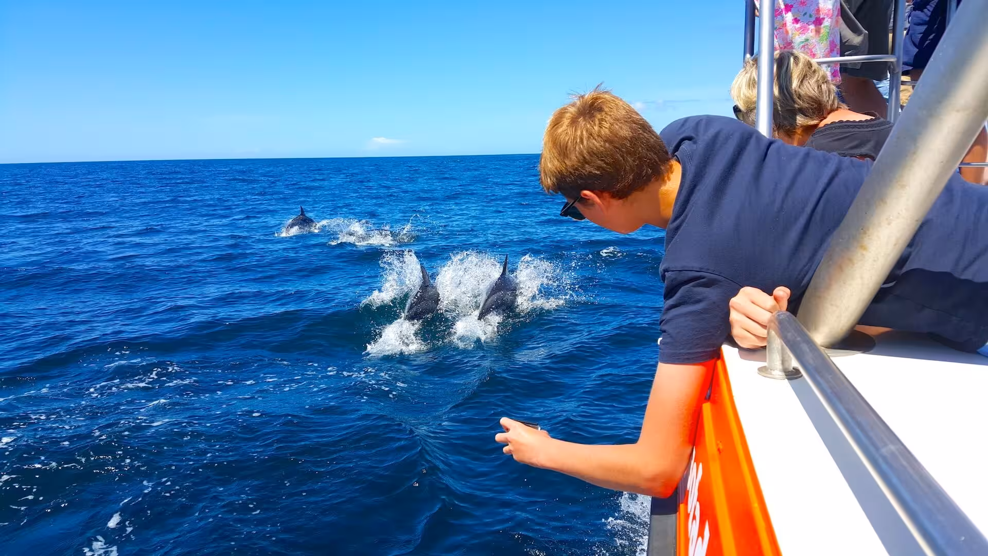 A boy leans over a catamaran railing watching wild dolphins leaping through the ocean on a sunny dolphin watching tour