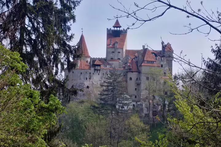 Bran Castle perched on a rocky hill surrounded by lush green trees in Transylvania, Romania