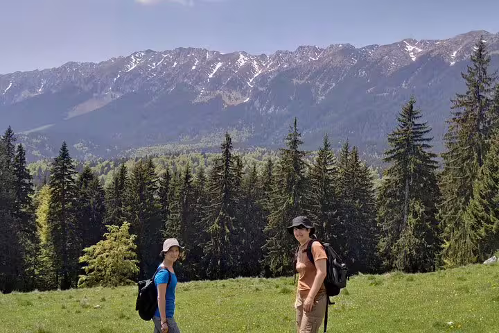 Two hikers with backpacks and sun hats in alpine meadow with snow-capped Carpathian mountains behind