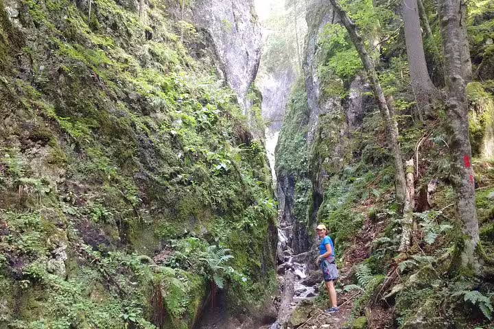 Hiker standing in a narrow mossy gorge with a stream near Brasov, Romania