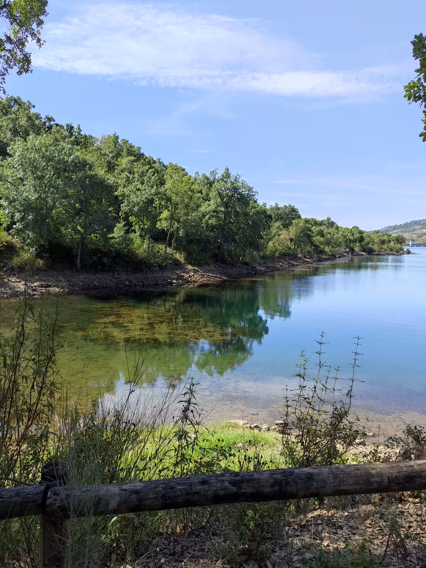Tranquil Bravura Lake with clear waters and lush forest backdrop, ideal for a serene escape on the Algarve excursion.