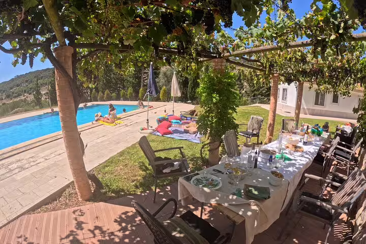 Poolside dining with a table set for a feast under a grapevine pergola overlooking a sunny villa garden and pool.