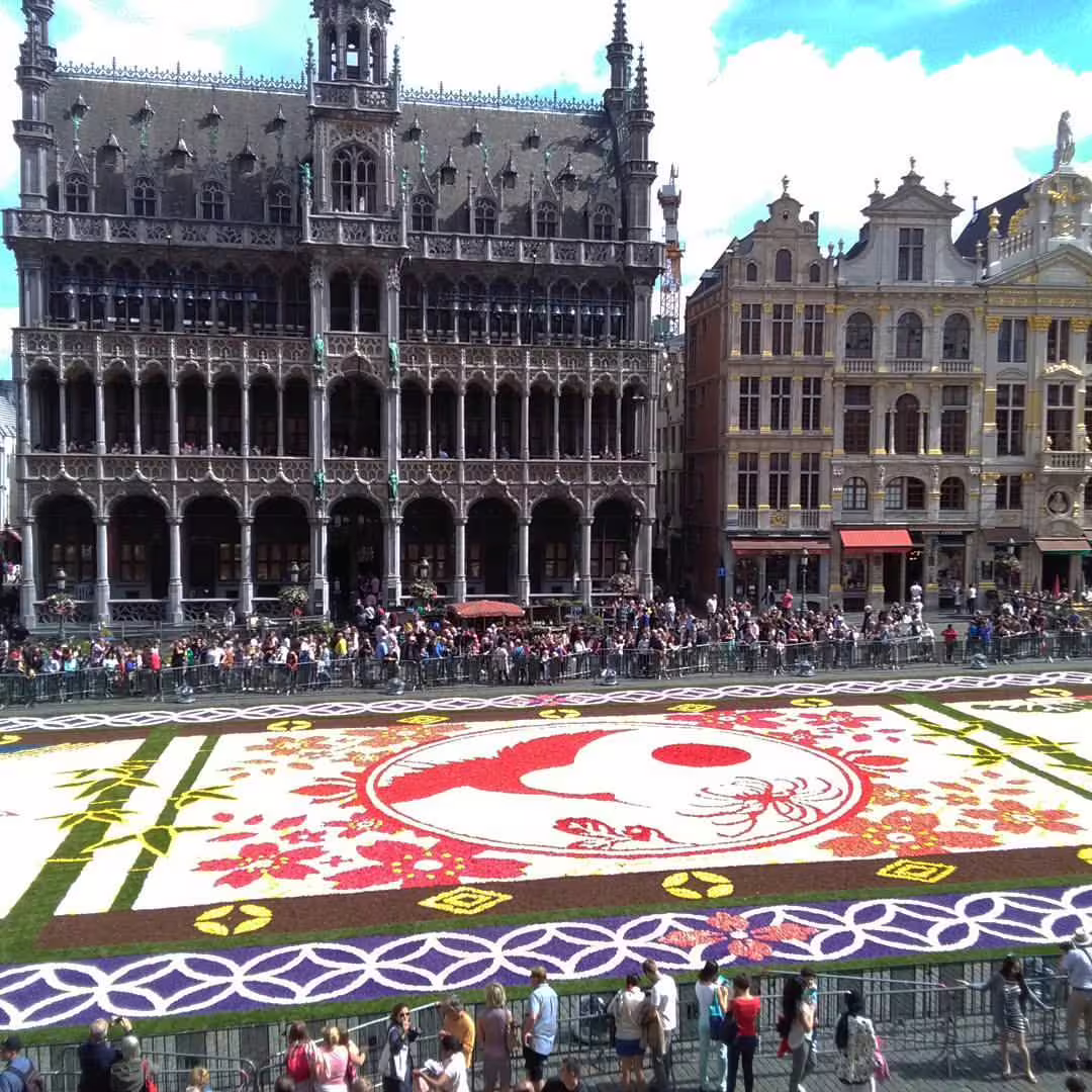 Colorful flower carpet display at Brussels' Grand Place, showcasing intricate designs during a private walking tour.
