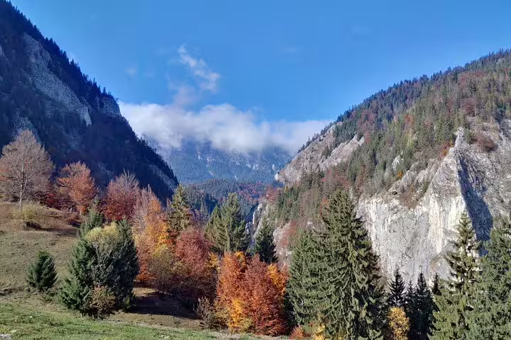 Autumn forest valley with colorful trees and rocky cliffs in Bucegi Mountains, Romania