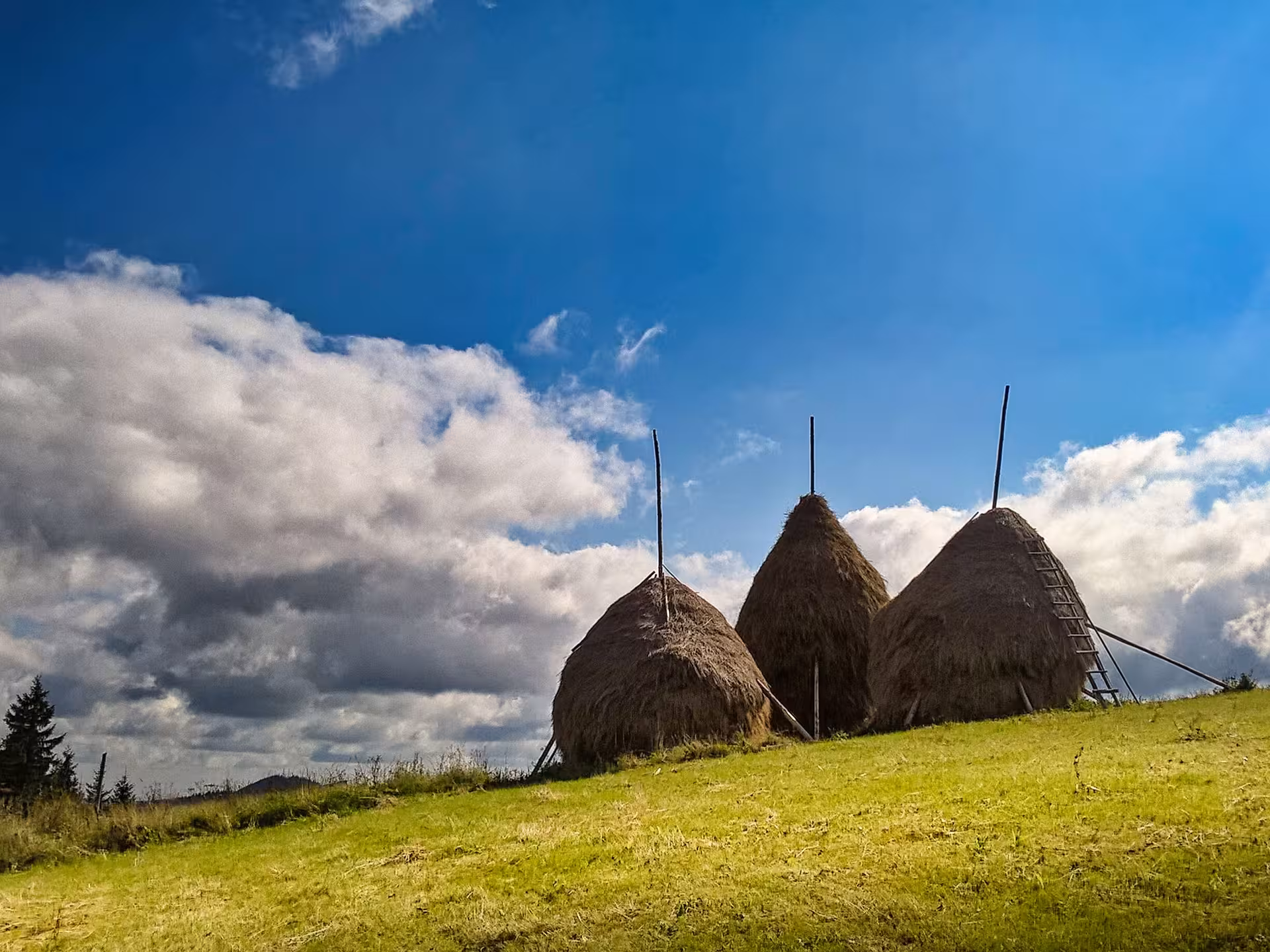Scenic Bucovina countryside with traditional haystacks on green hillside under blue sky Romania tour