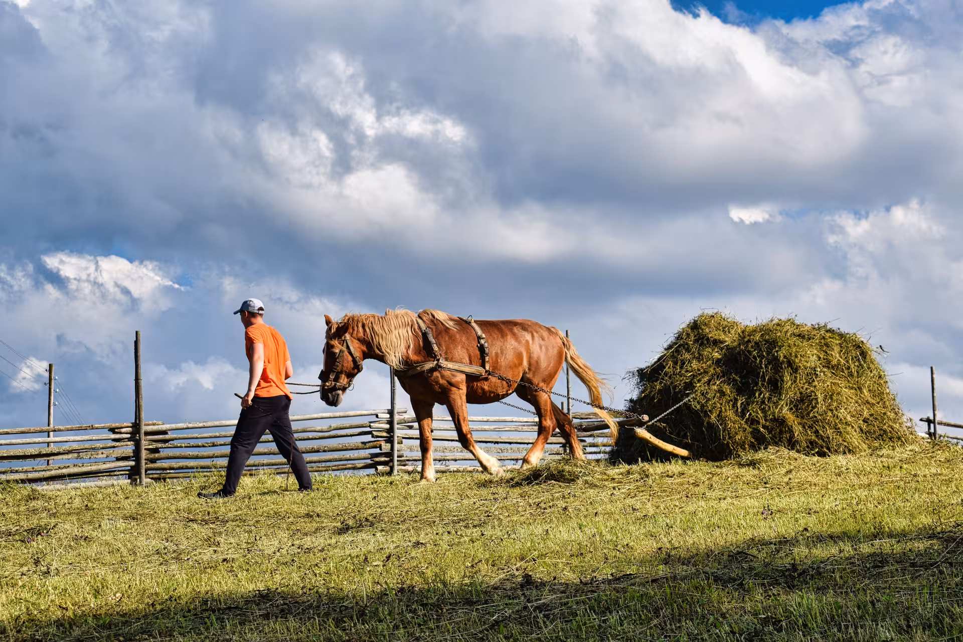 Bucovina farmer guiding a horse hauling hay showcasing rural traditions on a 2-day monasteries Easter egg tour