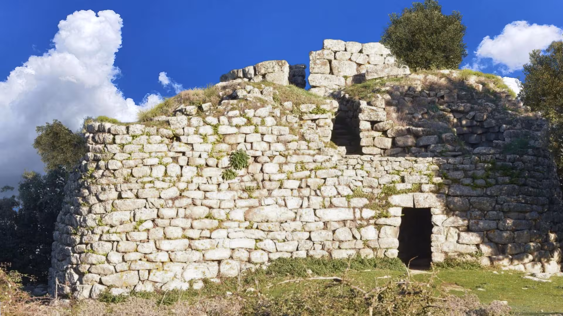 Discover the historic nuraghe structure amidst lush greenery at Loelle archaeological site in Buddusò.
