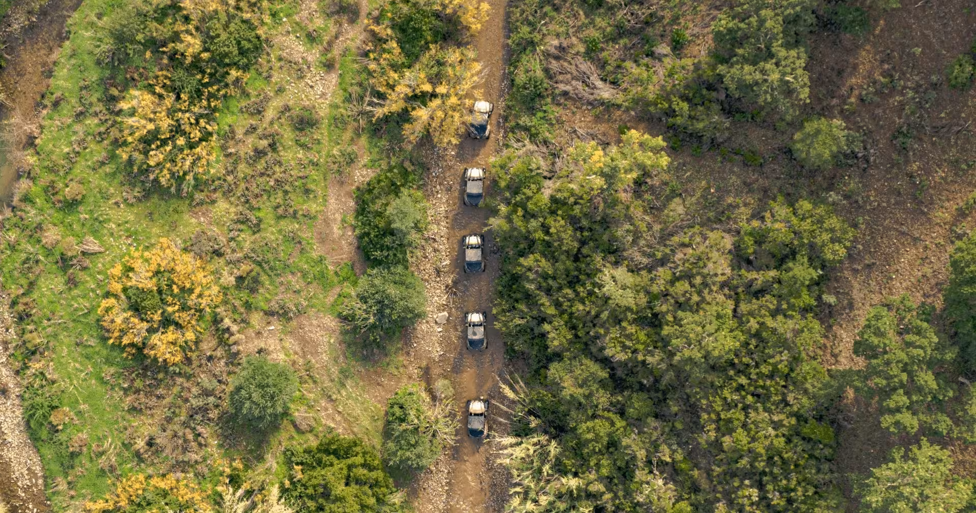 Aerial view of buggy tour vehicles crossing a shallow riverbed surrounded by lush green forest on an exciting off-road route