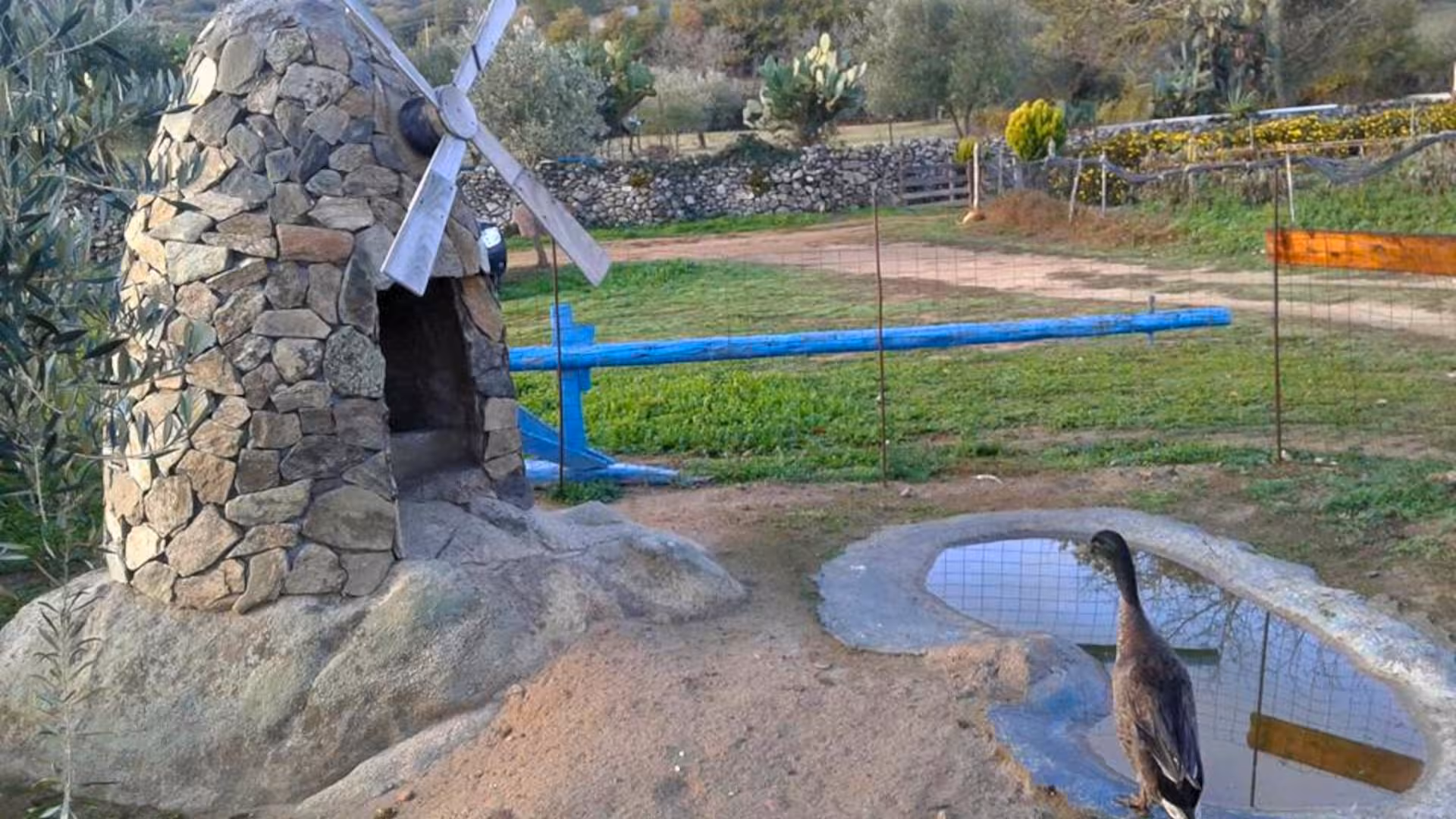 Rustic stone windmill overlooks a tranquil pond in Burgos, offering a unique and relaxing farm tour experience.