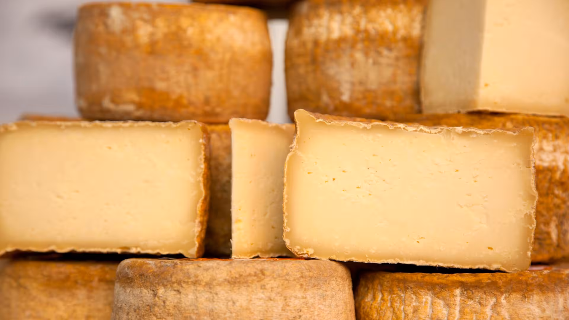 Aged Sardinian pecorino cheese wheels and slices showcasing rich textures and colors.