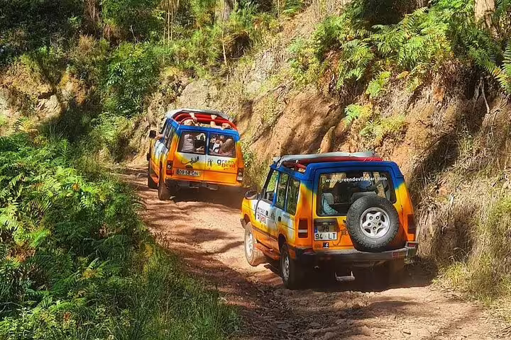 Two colorful 4x4 vehicles navigate a scenic, forested dirt trail during the Guided Tour Beyond Vineyards Cabo Girão Skywalk Adventure.