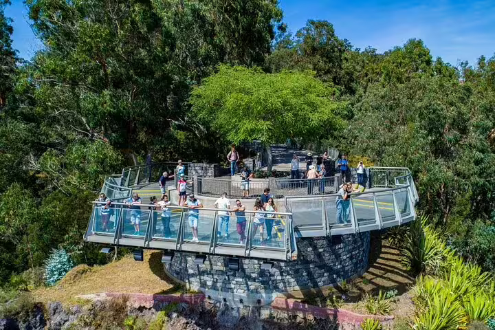 Visitors enjoy panoramic views from the glass-floored Cabo Girão Skywalk, surrounded by lush greenery and dramatic cliffs.