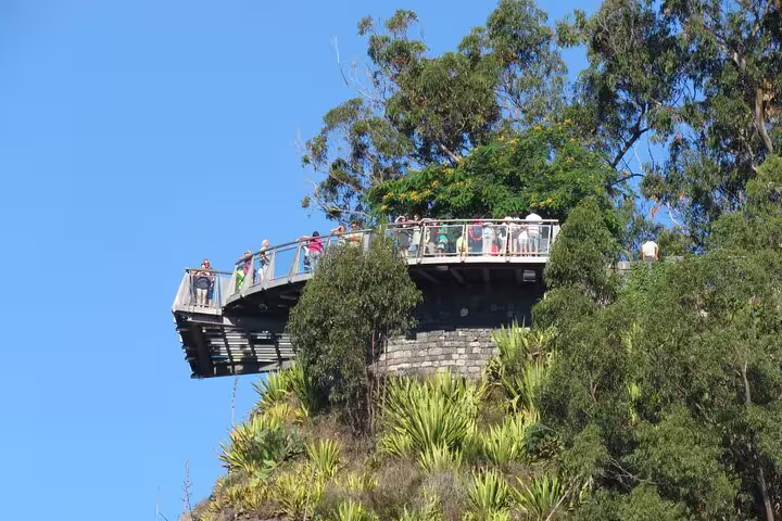 Tourists enjoying the breathtaking views from the Cabo Girão skywalk surrounded by lush greenery on a sunny day.