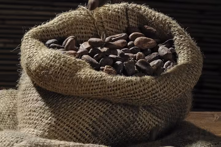 Burlap sack of cacao beans, a bean-to-bar highlight on a private dark chocolate tasting tour in Paris