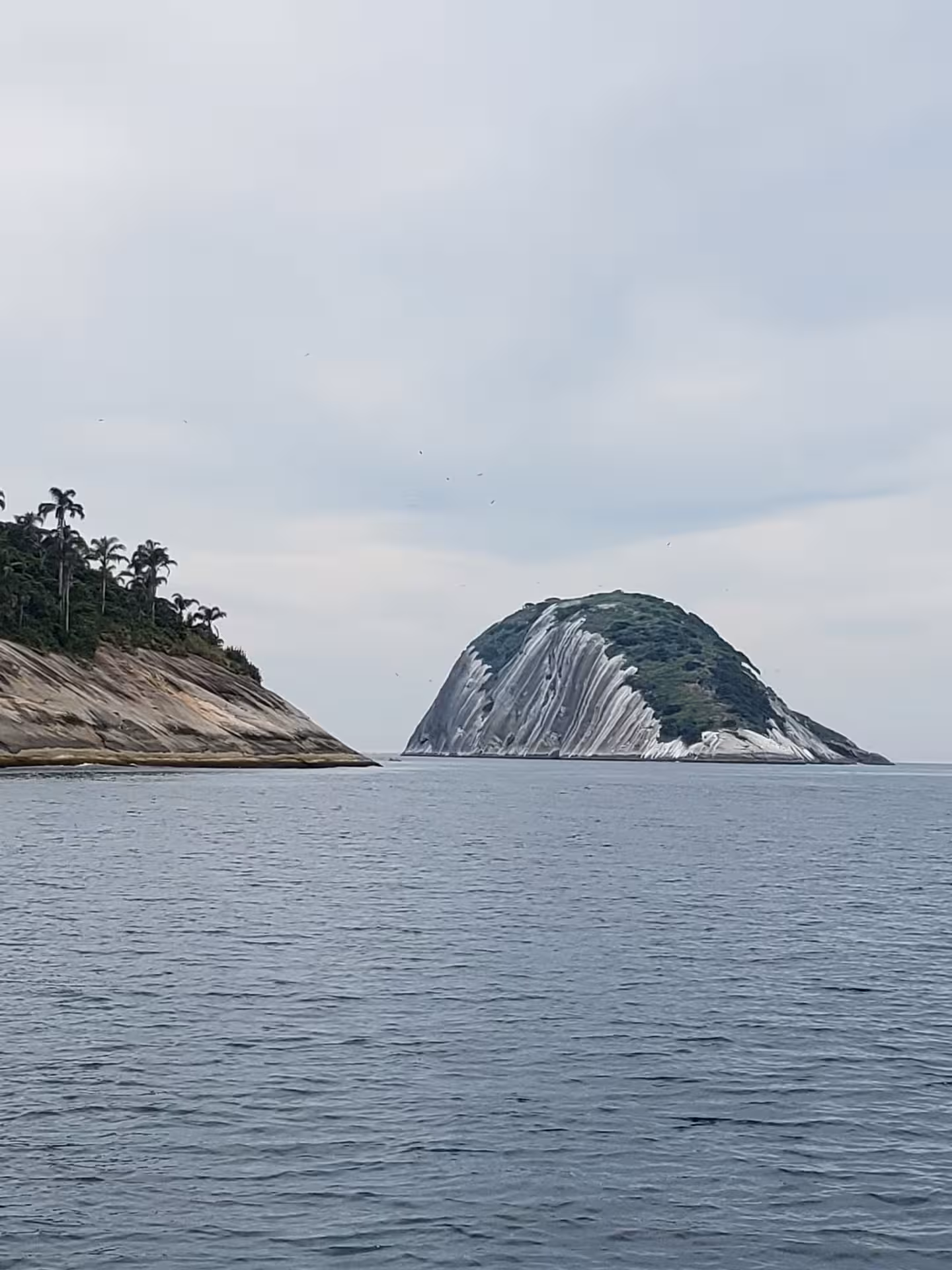 Scenic view of Cagarras Archipelago's rocky islands with lush greenery, perfect for shared group tours and nature exploration.