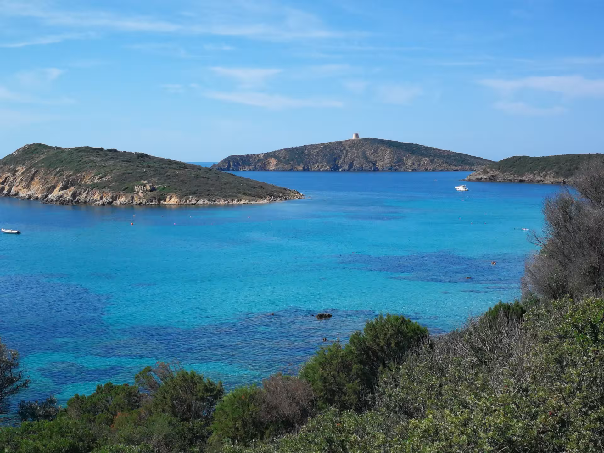 Scenic view of Chia's turquoise waters and lush greenery, perfect for a beach tour from Cagliari.