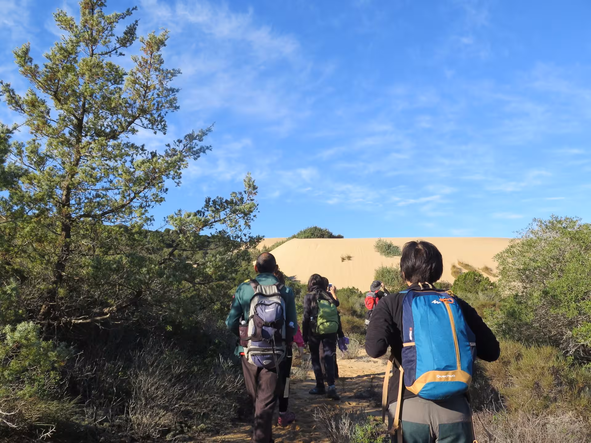 Group of hikers with backpacks exploring lush vegetation and sand dunes in Piscinas on a guided Cagliari tour.