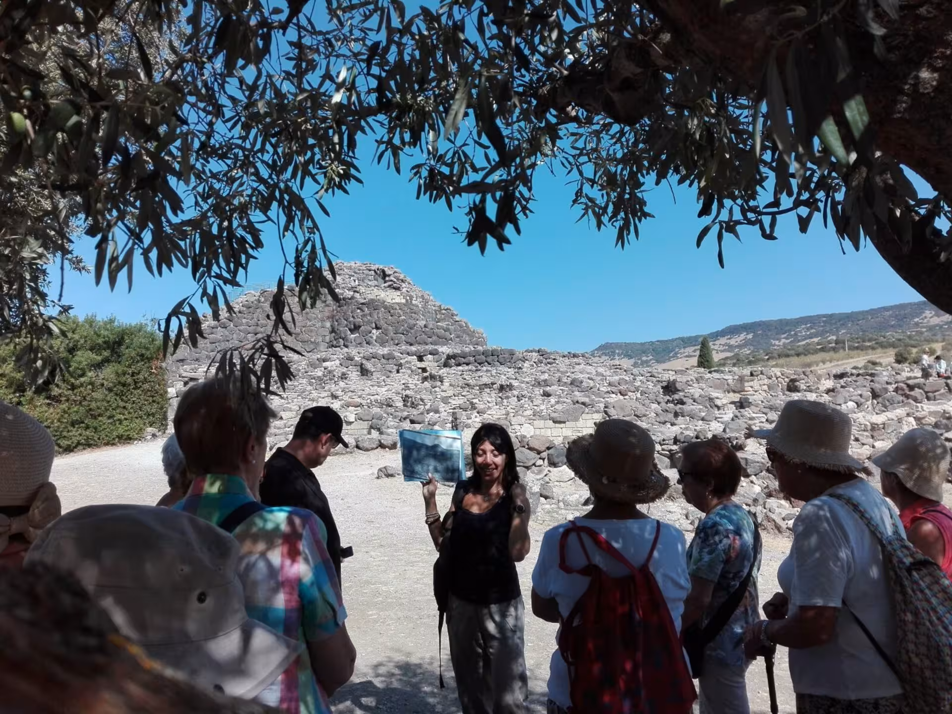 Visitors listen to a guide amidst ancient stone structures under a tree in the picturesque Sardinian landscape.
