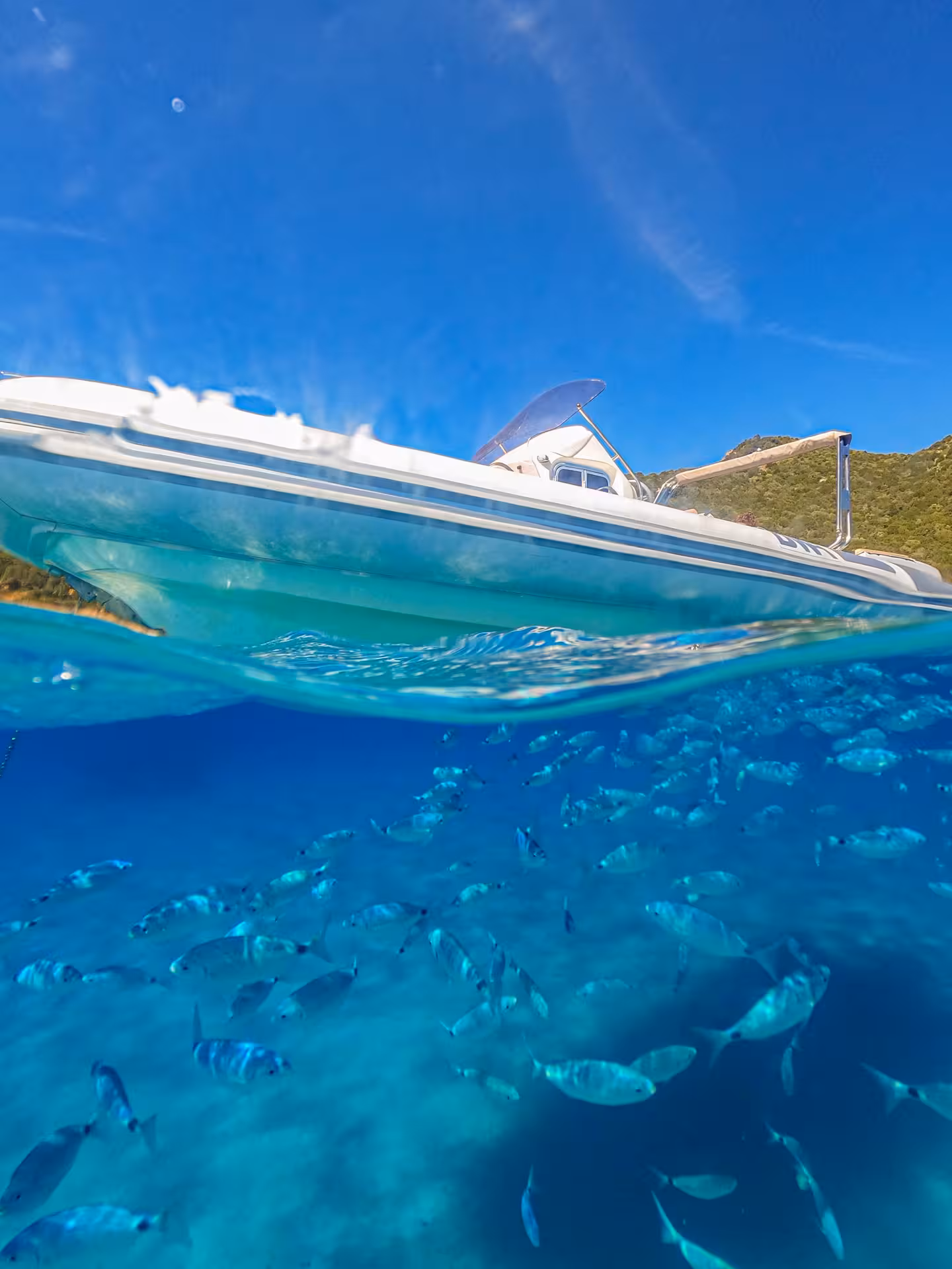 Split view of a RIB boat above water and a school of fish below in the clear waters of Cagliari, ideal for marine tours.