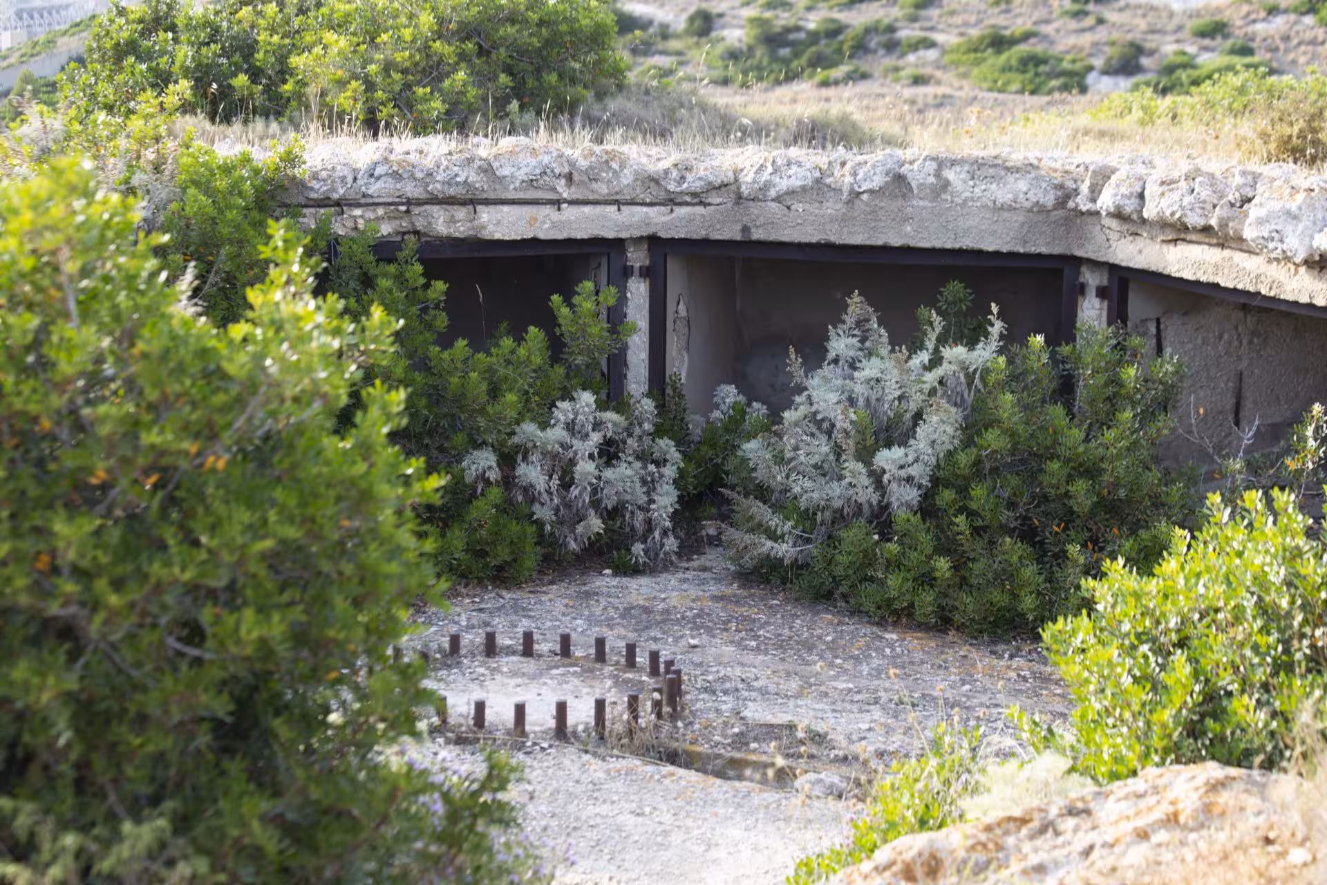 Overgrown World War II bunker on Sant'Elia hill, Cagliari, surrounded by lush Mediterranean vegetation.