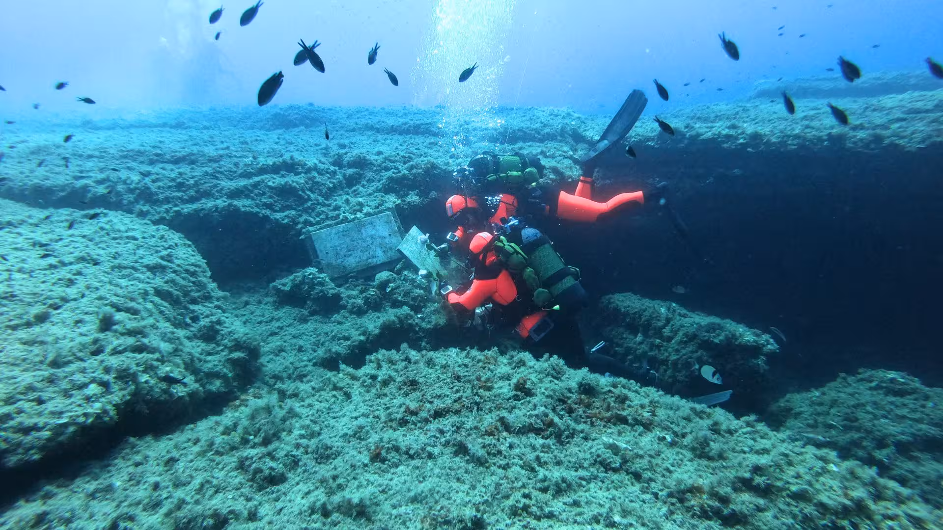 Pair of scuba divers examine underwater terrain amidst colorful fish in Cagliari's waters.