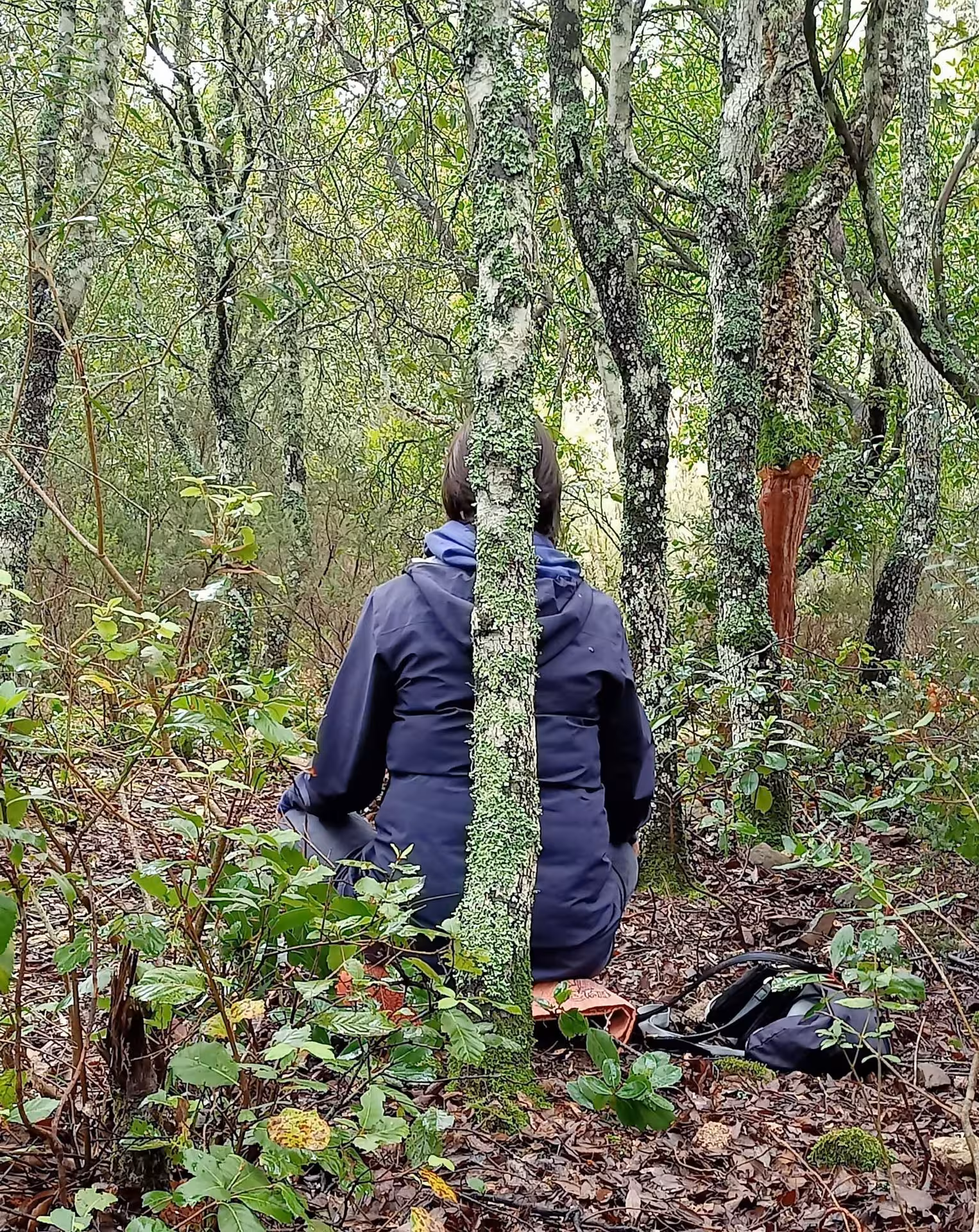 Person sitting peacefully in a lush green forest at Sette Fratelli Park, Cagliari, embracing nature's tranquility.