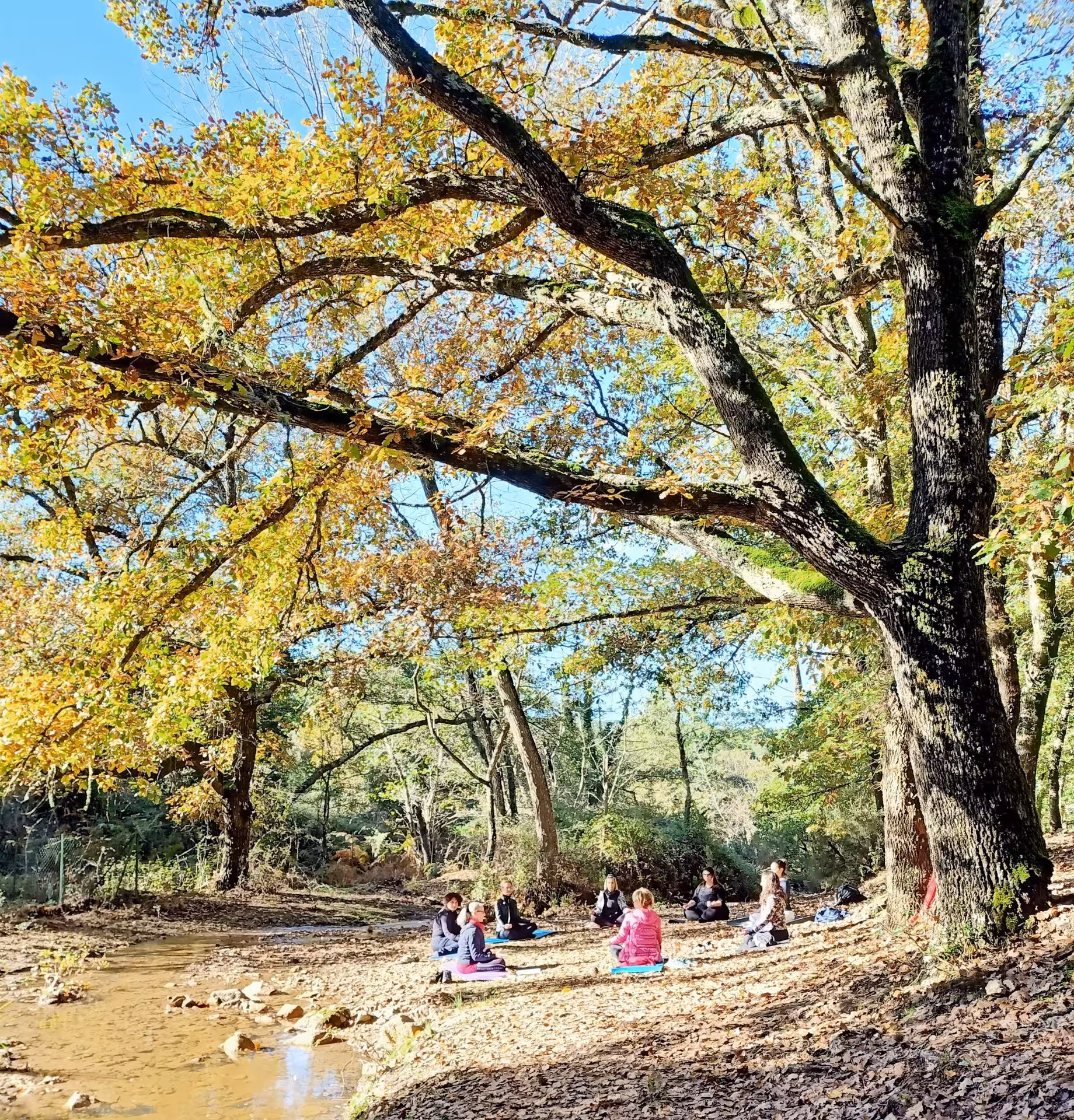 Group meditating under vibrant autumn trees by a stream in Sette Fratelli Park, Cagliari, ideal for relaxation.