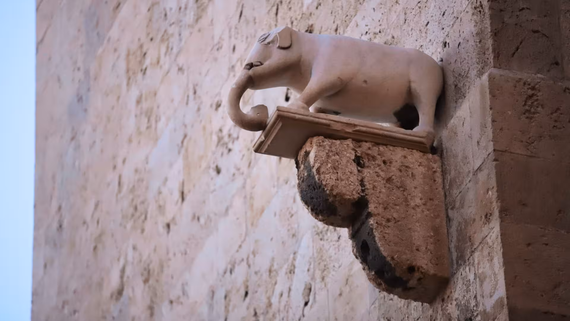 Stone elephant sculpture on a historic building facade in the old center of Cagliari, Sardinia, Italy.
