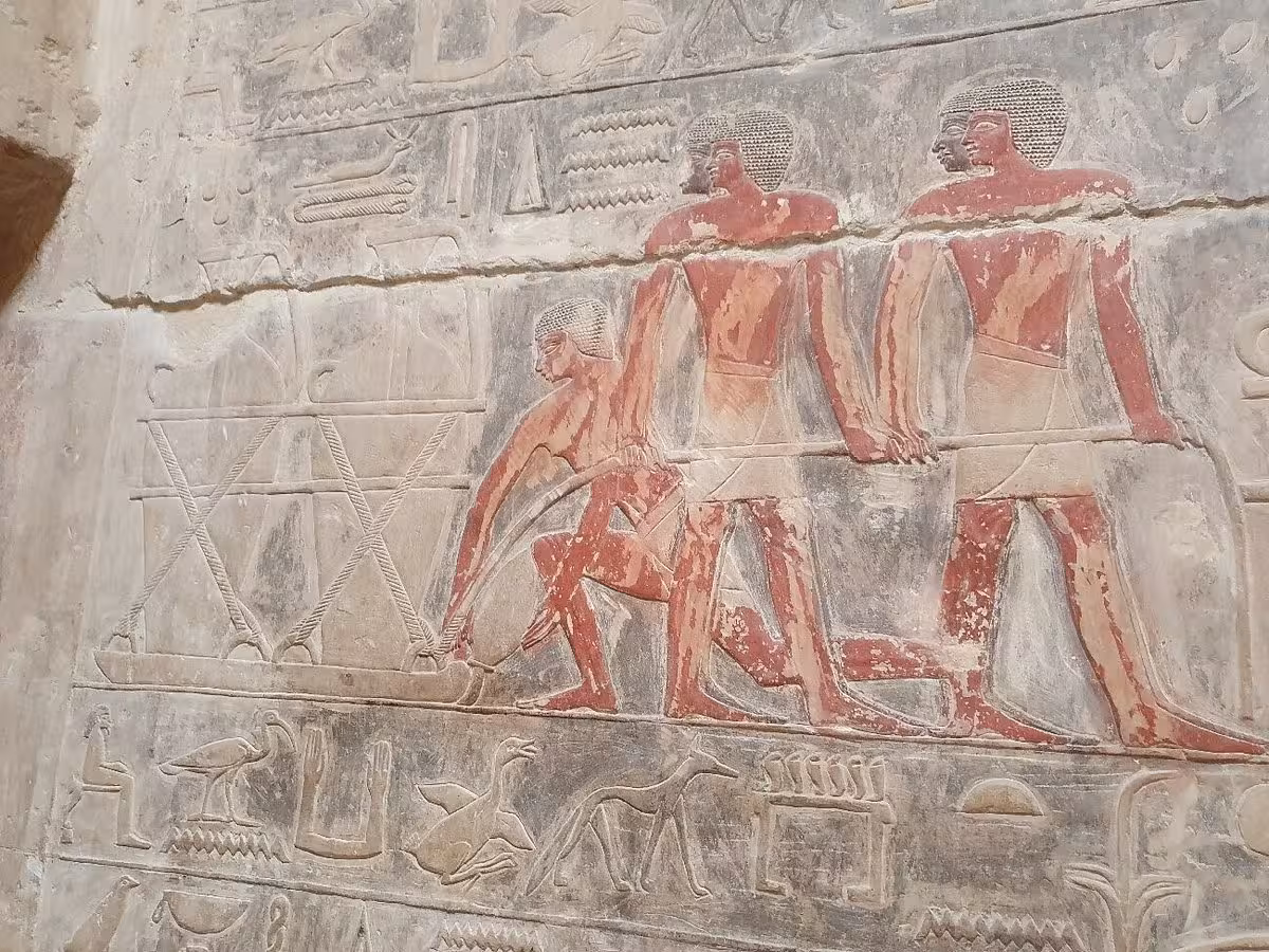 Ancient tomb reliefs at Saqqara necropolis on Cairo day tour to Pyramids, Memphis and Dahshur