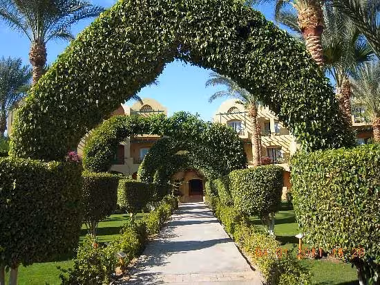 Elegant garden walkway in Cairo with arched green hedges and palm trees, leading to a charming resort entrance.