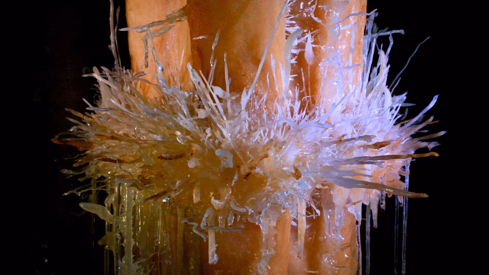 Intricate crystal formations in Dorgali caves captured during a thrilling Cala Gonone caving adventure.