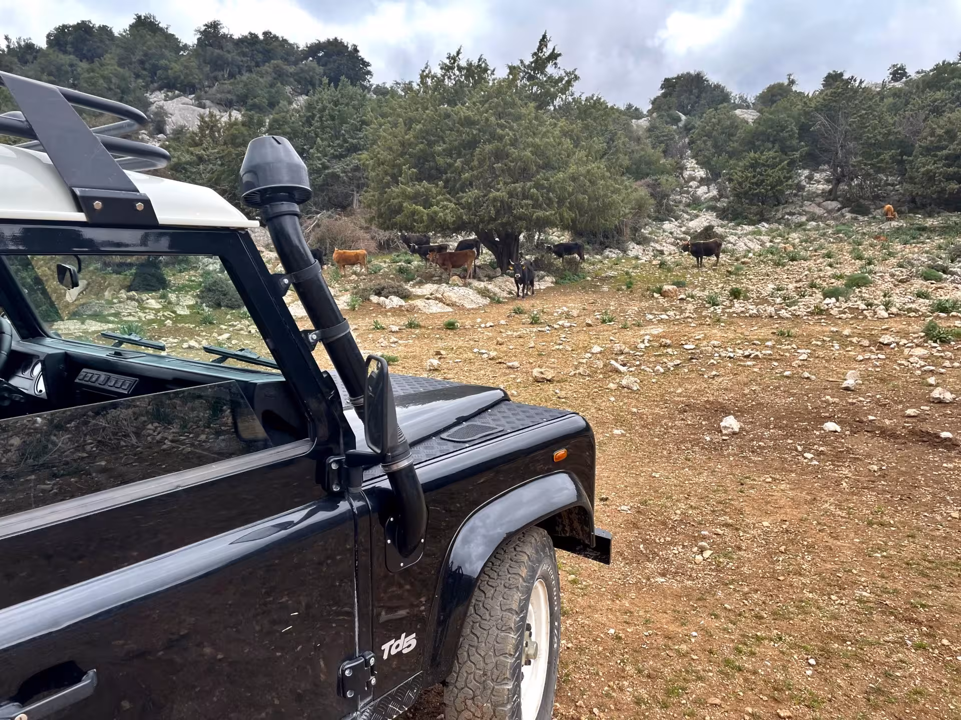 Off-road jeep on a scenic Dorgali trail, part of the Cala Gonone gastronomy and crafts tour.